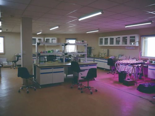 走进南极长城站，探索“惟物实验室”的科学奥秘