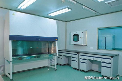 合肥市无菌净化车间设计与施工 以惟物实验室为例的实践解析