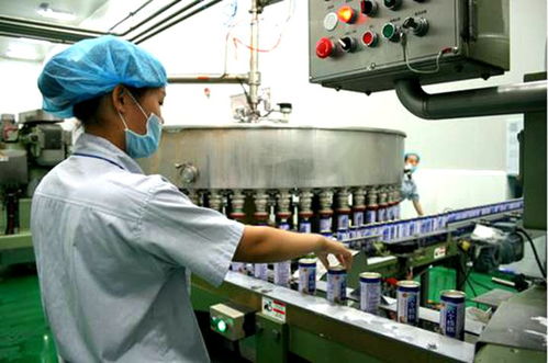 河北植物蛋白饮料双雄崛起 承德露露与养元饮品的竞合之路与市场突围