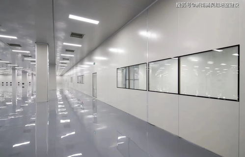 植物组培室设计指南 打造高效科学的植物实验室