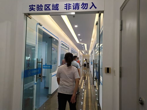 旌阳区组织开展二级生物实验室专项督导，全面提升惟物实验室安全管理水平